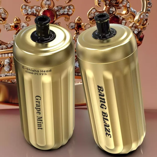 High-Quality BANG 42000 Blaze Puffs Disposable Vape 30ml E-Liquid 1000mAh Battery Type C Resistance 0.6ohm OEM ODM