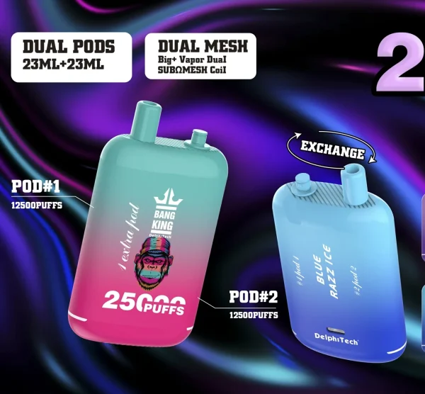 Bang King 25000 Puffs 0% 2% 3% 5% Low Nicotine Disposable Vapes Pen Wholesale Rechargeable Bulk Buy