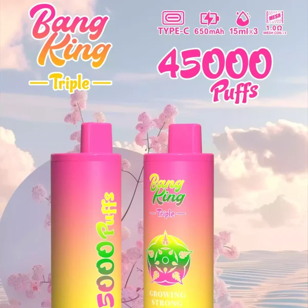 High Quality BANG KING 45000 PUFFS BK45 with 15ml+15ml+15ml E-liquid Capacity and Mesh Coil Technology