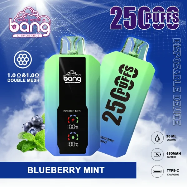Bang 25000 Puffs Full Screen 0% 2% 3% 5% Low Nicotine Rechargeable Bulk Buy Disposable Vapes Pen Wholesale