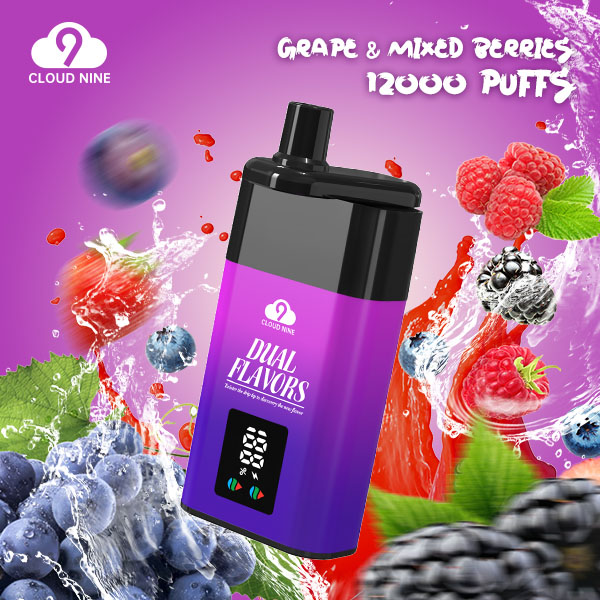 CLOUD NINE D19P 9000 Puffs Disposable Vape Wholesale 3% Nicotine 10 Fresh Flavors Bulk Buy Original Factory Direct Shipping