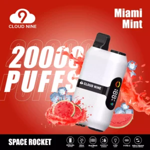 CLOUD NINE D33 Disposable Vape 20000 Puffs 5% Nicotine 10 Fresh Flavors 2024 New Release Wholesale Bulk Buy Direct from Factory